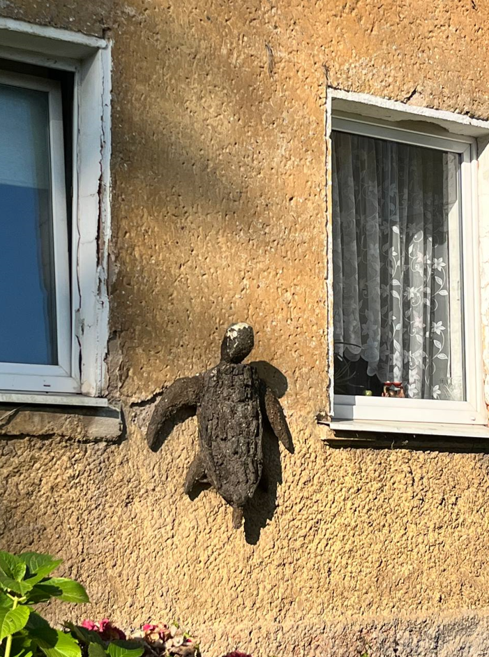 Тайна черепахи на Литовском валу