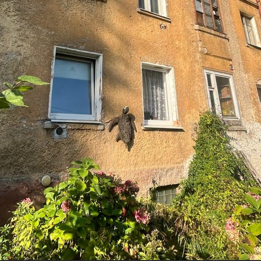 Тайна черепахи на Литовском валу