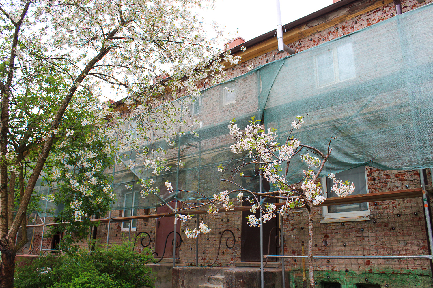 Провели обследование хаусмарок на Коммунальной, 67-105