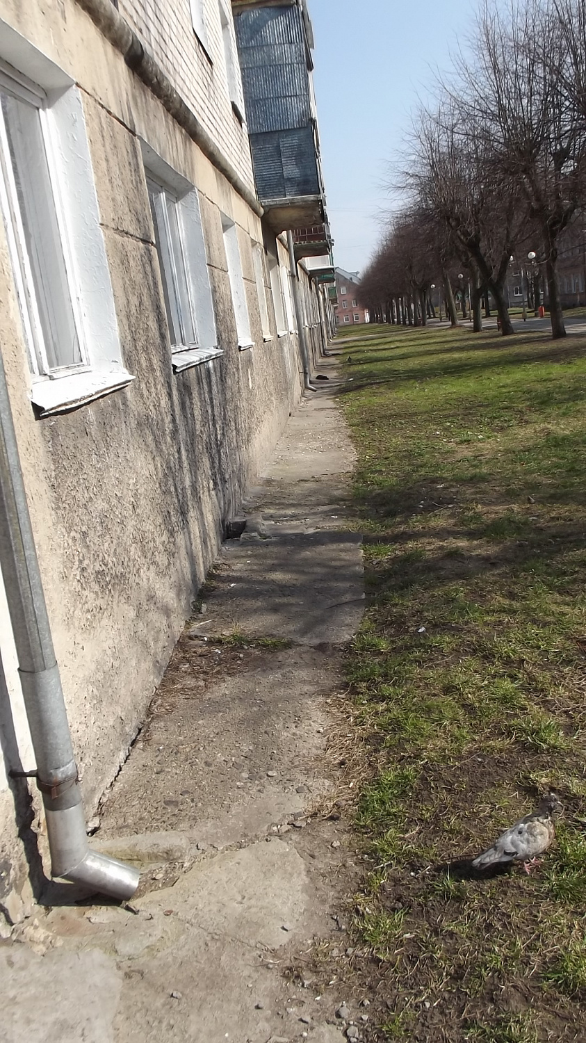 г. Советск, ул. Баумана, д. 16