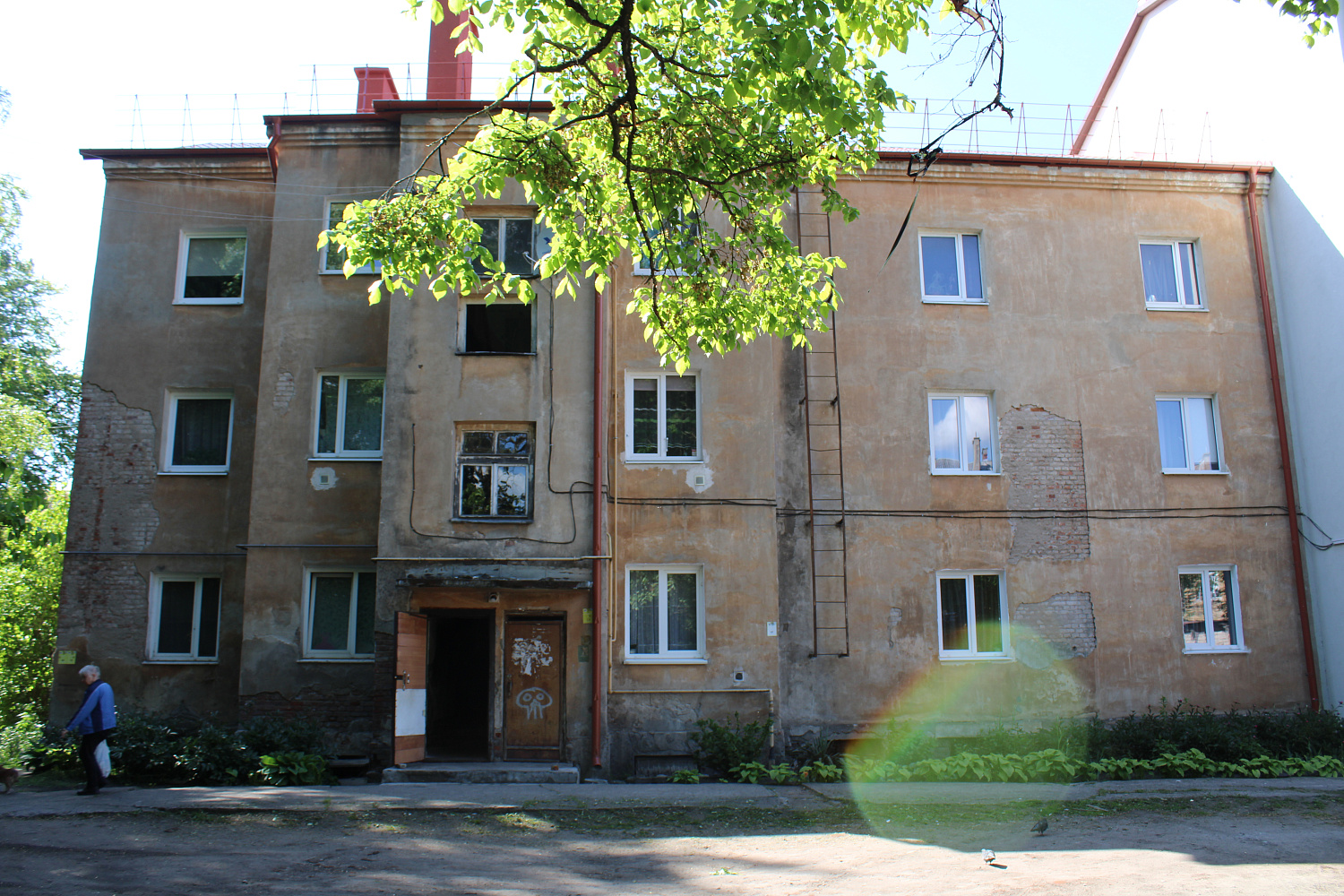 История под штукатуркой