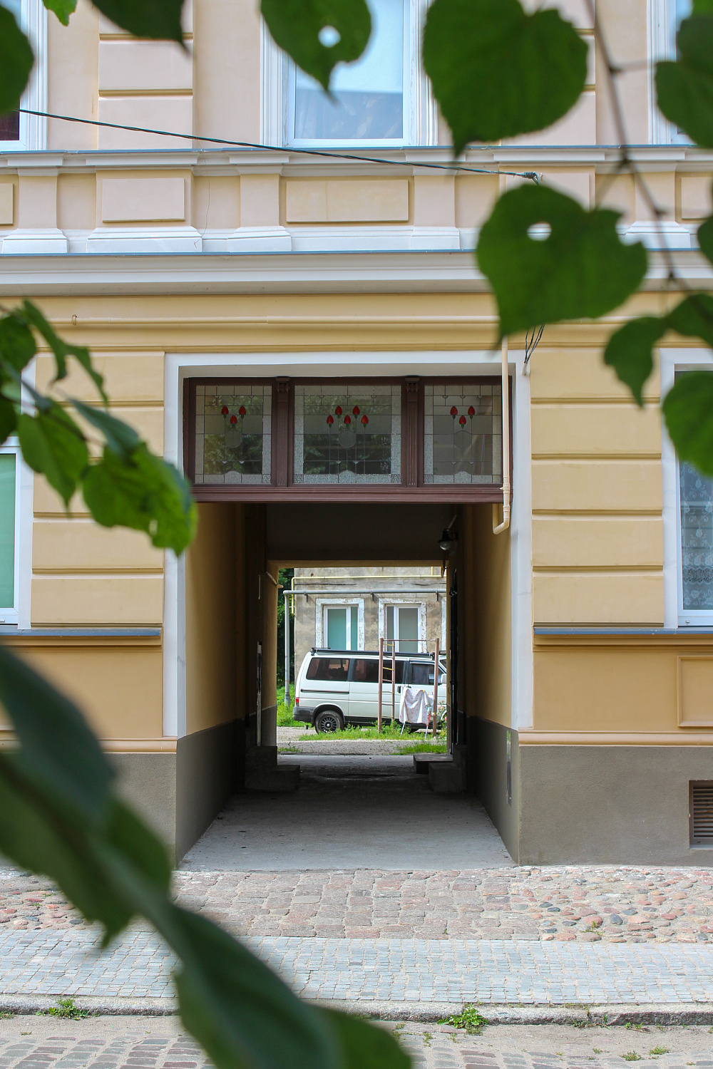 Тюльпаны возвращаются