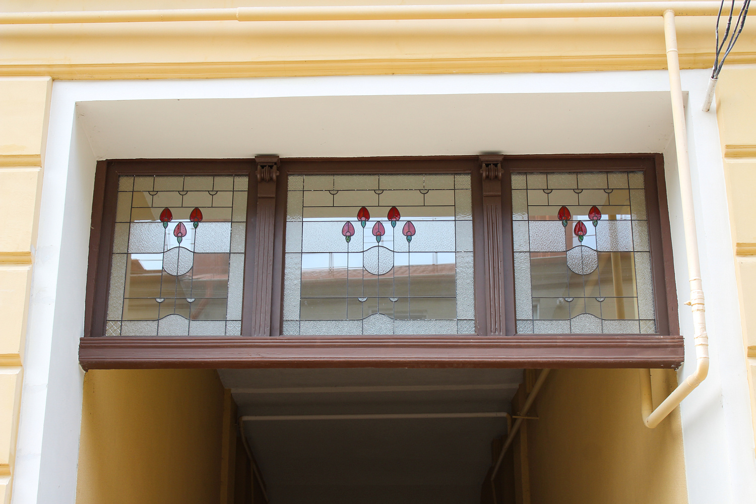 Тюльпаны возвращаются