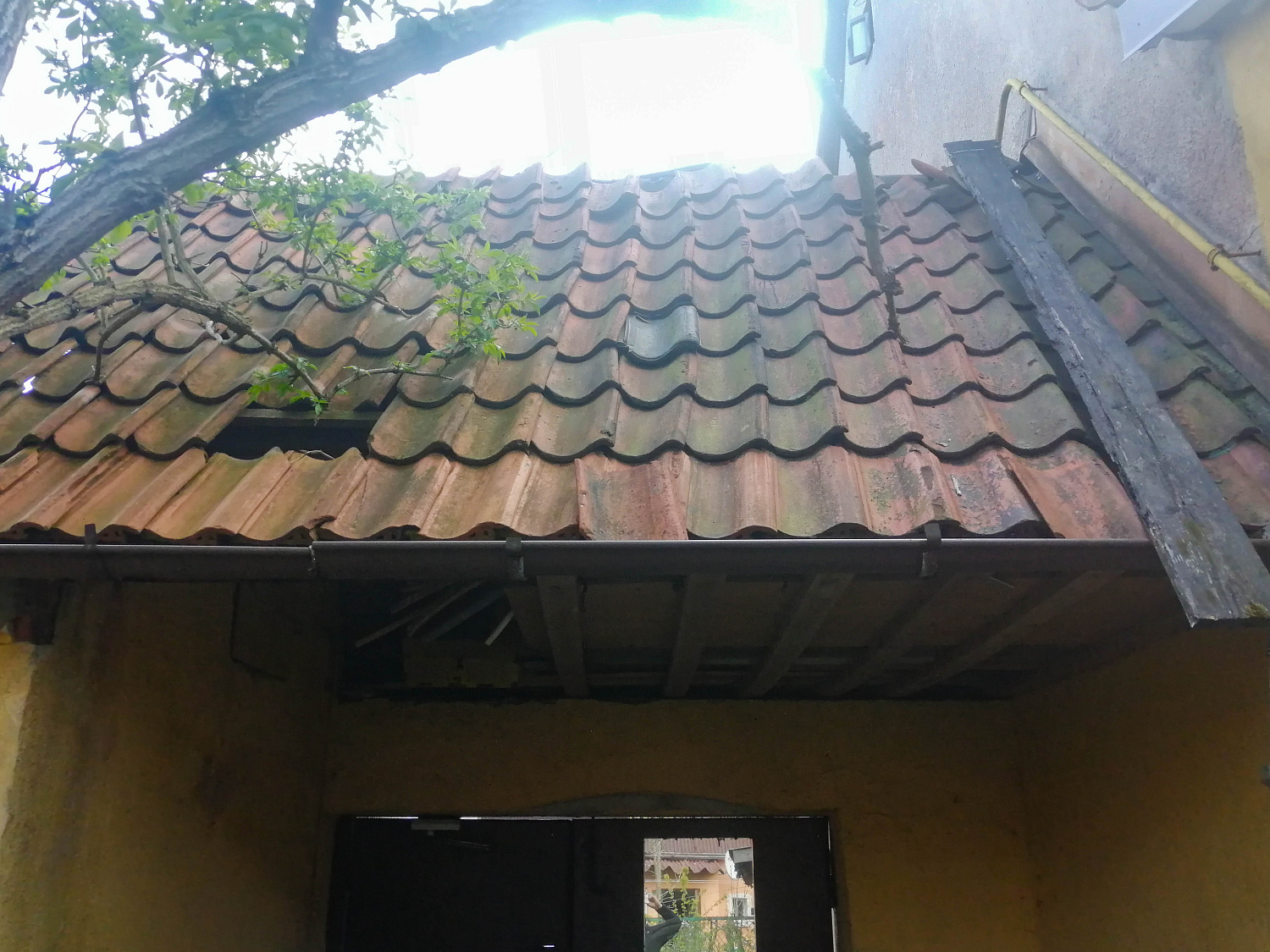 Открытие объектов в Пионерском